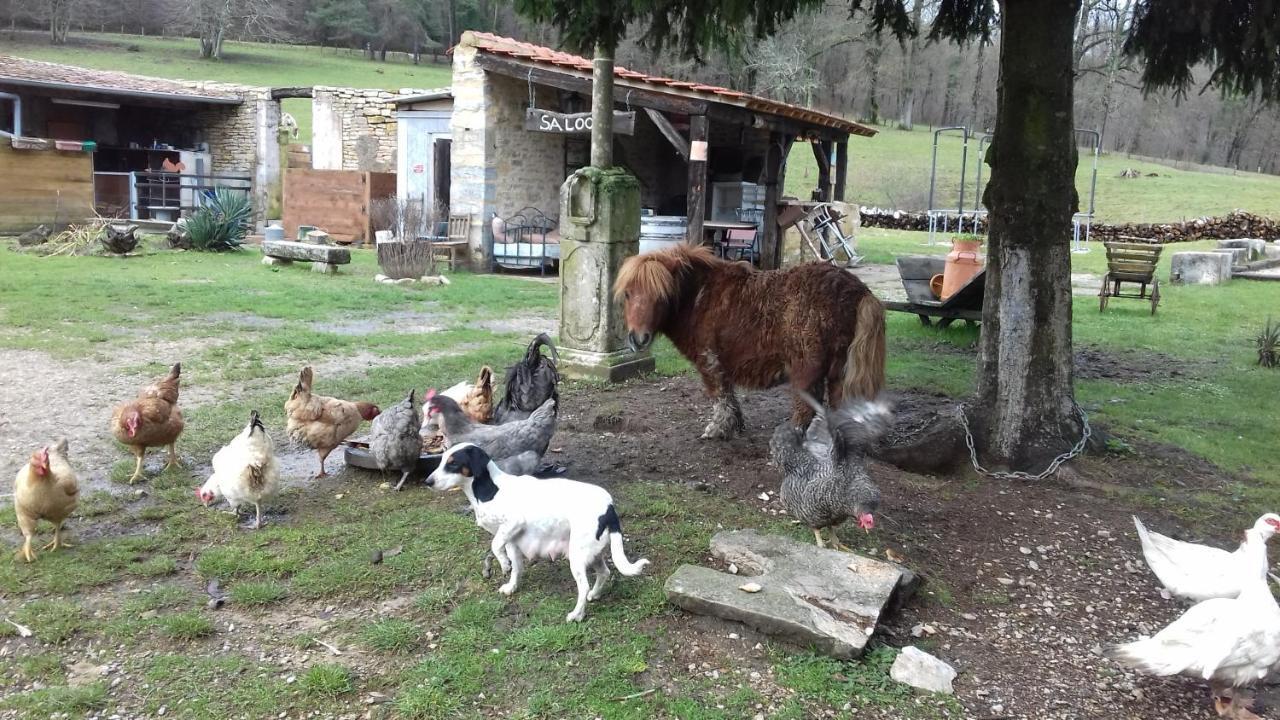 Domaine De Fontenelay Gezier-et-Fontenelay Habitación foto